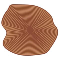 Fototapeta premium Tree rings, stump year circle tree ring trunk cut