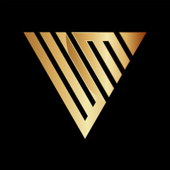 Initial W Triangle Logo Design