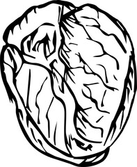 Hand drawn vegetable illustration on transparent background.
