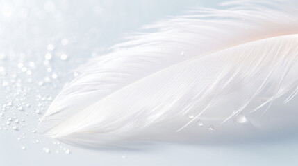 Fototapeta na wymiar Fluffy white feather with water drops on light background