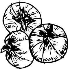 Hand drawn vegetable illustration on transparent background.
