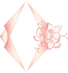 Pink geometric frame with hand drawn floral illustration on transparent background.
