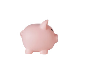 Piggy bank pig on isolated white background close up