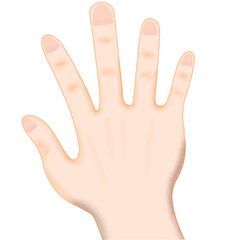 hand isolated on white background