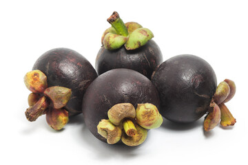 Four fresh organic mangosteen delicious fruit isolated on white background clipping path