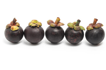 Five fresh organic mangosteen delicious fruit isolated on white background clipping path