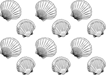 hand drawn doodle style seashell pattern 