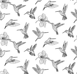 hand drawn doodle style pattern of colibri