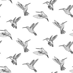 hand drawn doodle style pattern of colibri