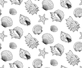 hand drawn doodle style seashell pattern 