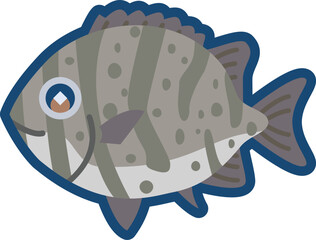 かわいいイシガキイシダイのイラスト