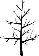 Trees silhouettes illustration on transparent background.