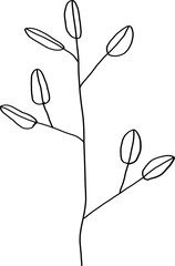 Hand drawn flower illustration on transparent background.