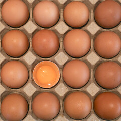 Fresh eggs in a cardboard egg tray.