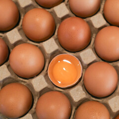 Fresh eggs in a cardboard egg tray.