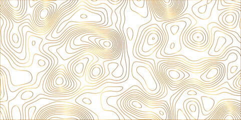 Abstract white background with golden gradient Topographic line map and shadows . Contour elevation topographic and textured Background Modern design White background with topographic wavy patteern.
