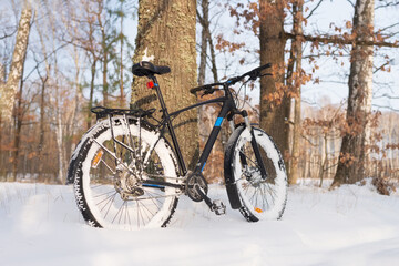 Naklejka premium Modern bicycle in a snowy forest on a winter day. Low angle view.