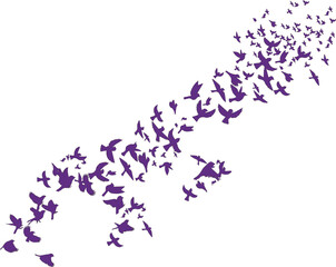 コウモリ（Bat）(eps)