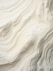 Obraz premium Topographic Wall Prints: Exploring Geographical Elevation