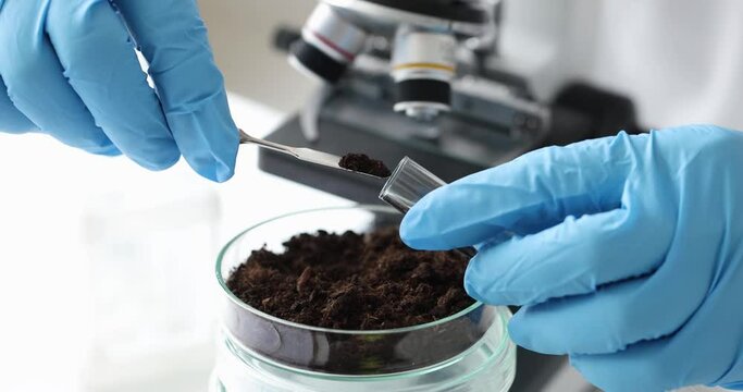 Scientist in laboratory conducts soil research in test tube. Mineralogical soil analysis concept