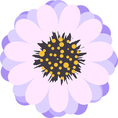 Hand drawn flower illustration on transparent background.