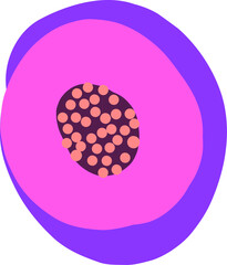 Hand drawn flower illustration on transparent background.