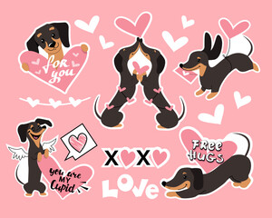 Fashion patch badges with dachshund dogs and hearts for valentine's day on a pink background. Vector illustration