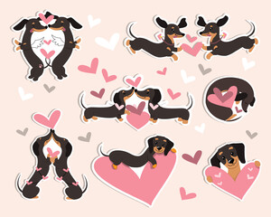 Collection dachshund dogs and hearts for valentine's day. Vector cartoon doodle illustration. Patch badges
