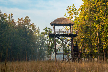 wooden watchtower for forest guards and park rangers for monitoring and save wild animals illegal activities trees cutting poachers threat in pilibhit national park tiger reserve uttar pradesh india