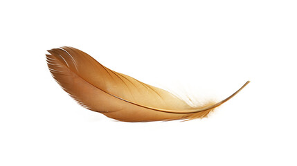 a brown feather on a white background - Powered by Adobe