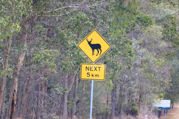 Caution Ahead: Wildlife Crossing