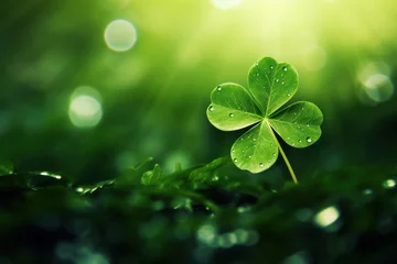Fotobehang green lucky shamrock leaves in shape of a heart  isolated background copy space left © Dina