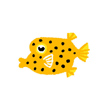 ミナミハコフグ【熱帯魚】の手描きイラスト
