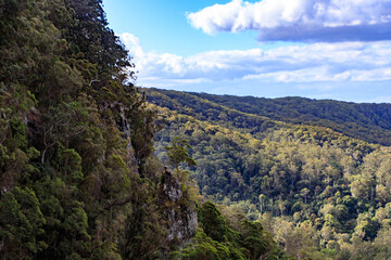 Breathtaking Views of Springbrook National Park, Australia