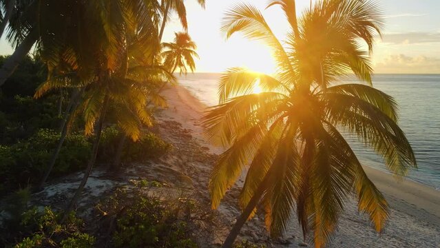 Aerial view of beautiful paradise Maldives tropical beach among palms with sunset sunshine.