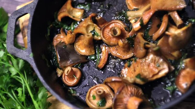 Lactarius deliciosus - the most sought-after edible mushrooms.