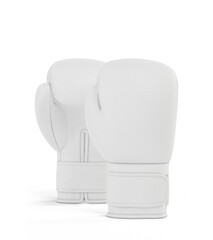 Boxing Gloves on white background