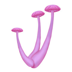 pink mushroom isolated on white