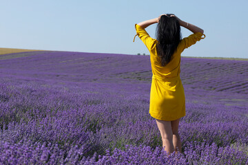 Rear view of a beautiful young woman in a yellow dress and arms thrown up in long dark hair in a lavender field. Enjoyment of life.
