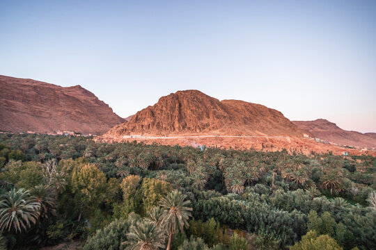 View of the Palmeraie de Tinghir, a valley with palm trees near Ait Ismene village at sunset, Tinghir, Morocco.