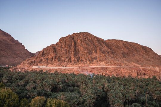 View of the Palmeraie de Tinghir, a valley with palm trees near Ait Ismene village at sunset, Tinghir, Morocco.