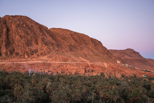 View of the Palmeraie de Tinghir, a valley with palm trees near Ait Ismene village at sunset, Tinghir, Morocco.
