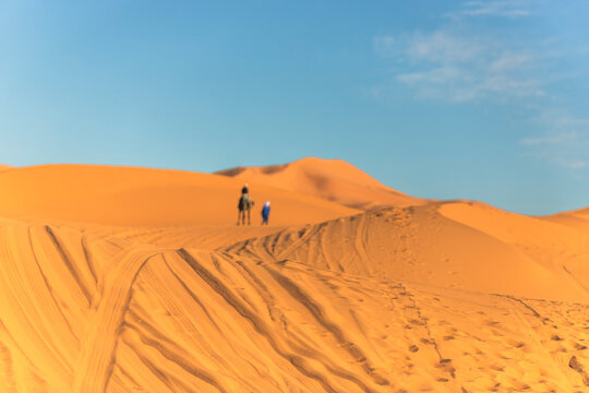 View of a berber bedouin walking across the Sahara Desert with a camel in Merzouga, Morocco.