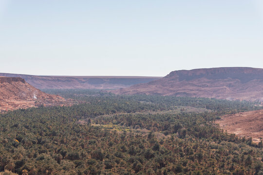 View of the Palmeraie, a valley with palm trees along the Ziz Valley with canyon near Errachidia, Morocco.