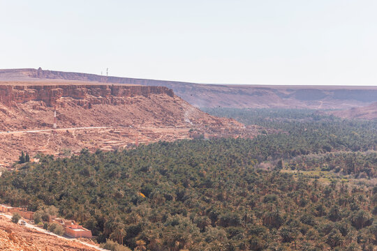 View of the Palmeraie, a valley with palm trees along the Ziz Valley with canyon near Errachidia, Morocco.