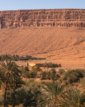 View of the Palmeraie, a valley with palm trees along the Ziz Valley with canyon near Errachidia, Morocco.