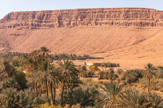 View of the Palmeraie, a valley with palm trees along the Ziz Valley with canyon near Errachidia, Morocco.
