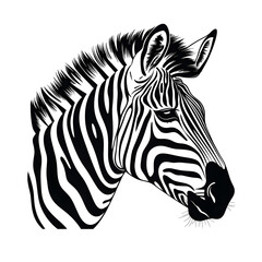 Fototapeta na wymiar a black and white drawing of a zebra