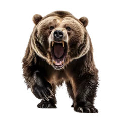 Keuken spatwand met foto a bear with its mouth open © ion