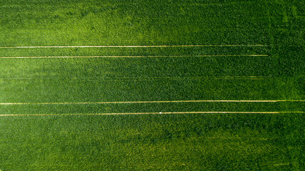 Obraz premium aerial view of farm land. drone shot.